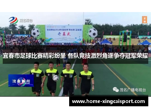 宜春市足球比赛精彩纷呈 各队竞技激烈角逐争夺冠军荣耀