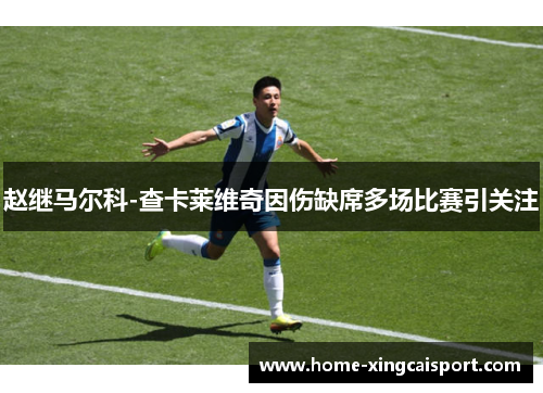 赵继马尔科-查卡莱维奇因伤缺席多场比赛引关注